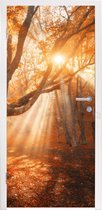 Deursticker Boom - Natuur - Herfst - 90x215 cm - Deurposter