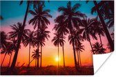 Affiche Palmier - Coucher de Soleil - Horizon - Plage - Oranje - Rose - 30x20 cm