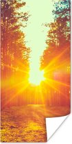 Poster Zonsondergang - Bomen - Bos - Natuur - 20x40 cm