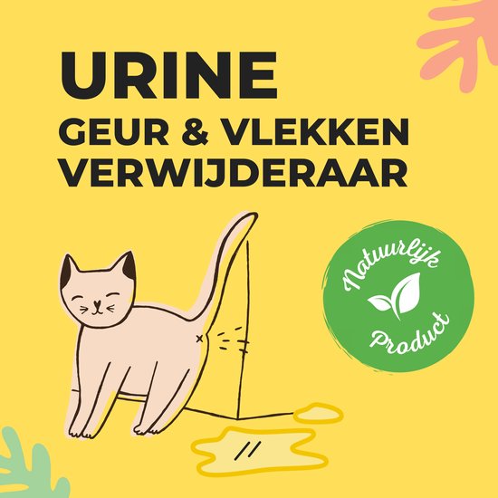 Odeur d'urine et détachant - Éliminer les odeurs d'urine - Éliminer les  taches d'urine