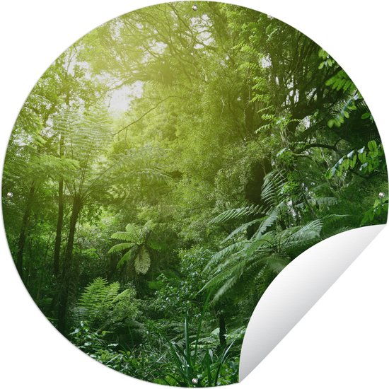 Tuincirkel Jungle - Planten - Bladeren - Jongens - Meisjes - Kinderen - 60x60 cm - Ronde Tuinposter - Buiten