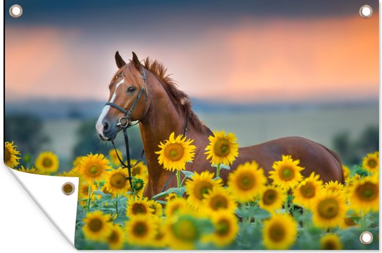 Tuindecoratie Paard - Zonnebloem - Lucht - Pastel - 60x40 cm - Tuinposter - Tuindoek - Buitenposter