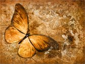 Fotobehang - butterfly (sepia).