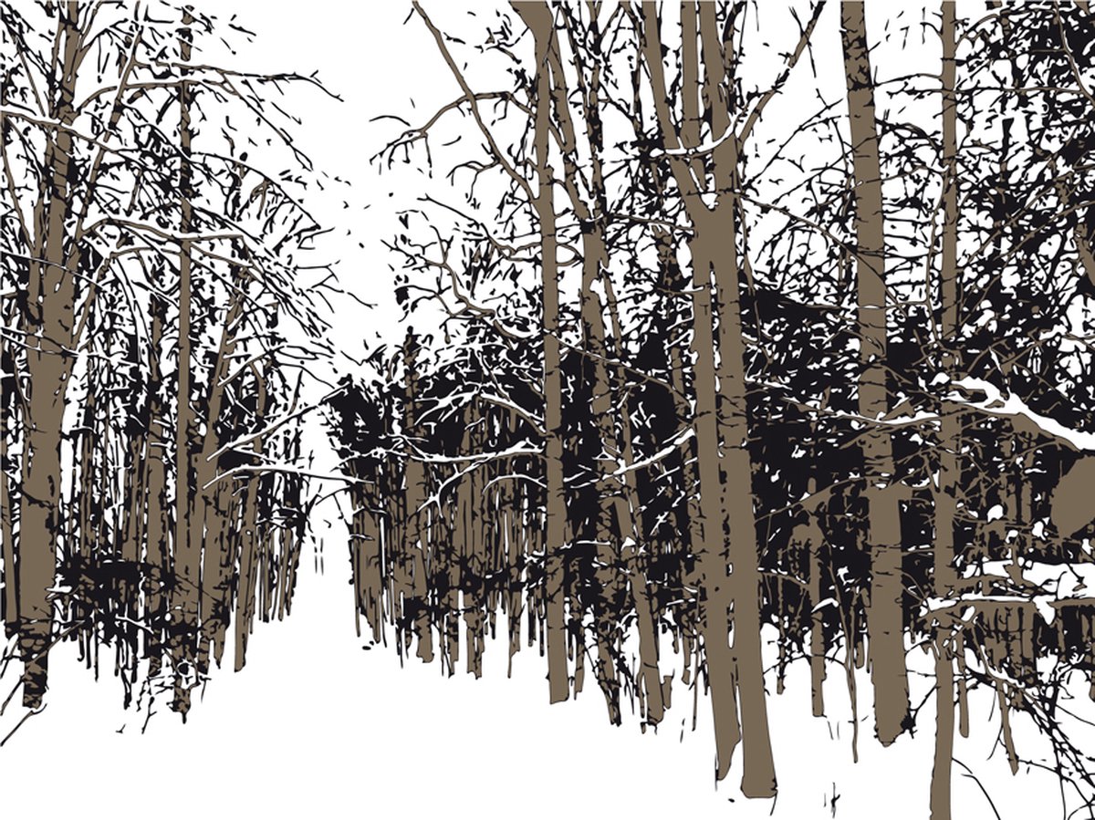 Fotobehang - trees - autumn.
