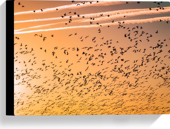 WallClassics - Canvas  - Heel veel Vogels in de Lucht met Zonsondergang - 40x30 cm Foto op Canvas Schilderij (Wanddecoratie op Canvas)