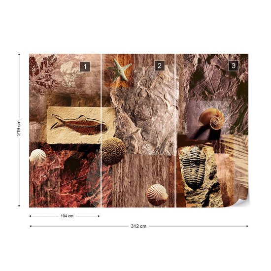 Papier peint Coquilles fossiles | XXL - 312 cm x 219 cm | Polaire 130g / m2