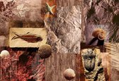 Fotobehang Fossil Shells | DEUR - 211cm x 90cm | 130g/m2 Vlies