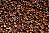 Fotobehang Coffee Beans  | XL - 208cm x 146cm | 130g/m2 Vlies