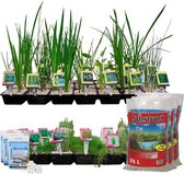 VDVELDE Vijverplanten Pakket - voor 5000 liter water - 93 Winterharde Waterplanten - Inclusief Substraat, Vijver bacteriën, Vijvermanden, Vijverplanten klei, Afdekgrind en Waterpla