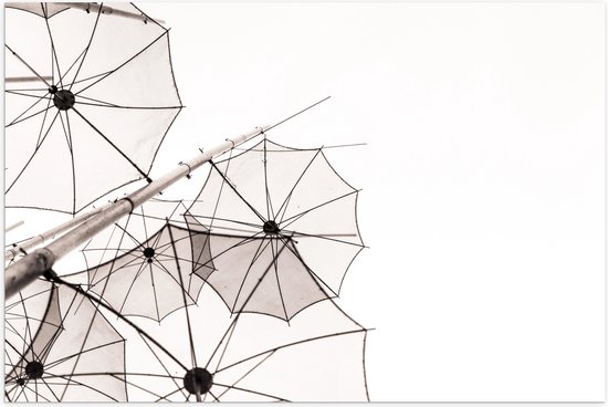 Poster (Mat) - Doorzichtige Paraplu Vormen tegen Witte Achtergrond - 105x70 cm Foto op Posterpapier met een Matte look