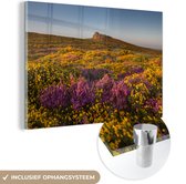 MuchoWow® Glasschilderij 60x40 cm - Schilderij acrylglas - Wilde bloemen in Nationaal park Dartmoor in Engeland - Foto op glas - Schilderijen