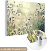 Fleurs Witte dans un champ Glas 60x40 cm - Tirage photo sur Glas (décoration murale plexiglas)