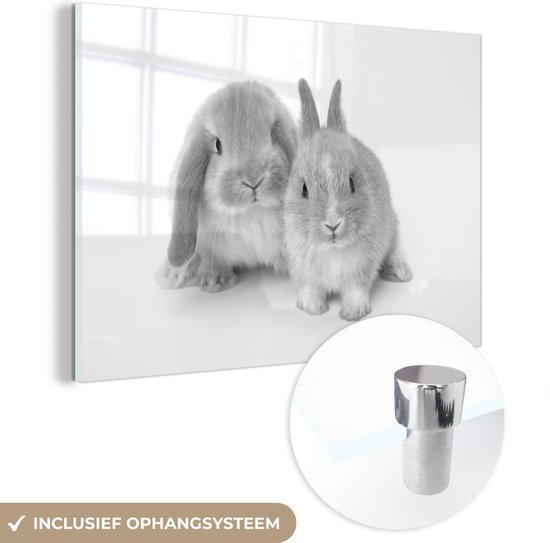 MuchoWow® Glasschilderij 120x80 cm - Schilderij acrylglas - Twee konijnen - zwart wit - Foto op glas - Schilderijen
