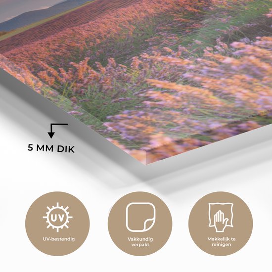 MuchoWow® Peinture sur verre 90x90 cm - Peinture acrylique sur verre - France - Lavande - Soir - Photo sur verre - Peintures