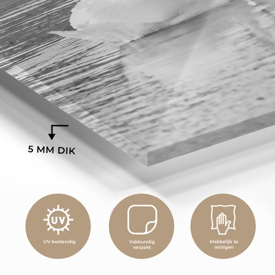 Peinture sur verre - Deux cygnes sur l'eau - noir et blanc - 120x80 cm - Peintures sur Verre Acrylique - Photo sur Glas