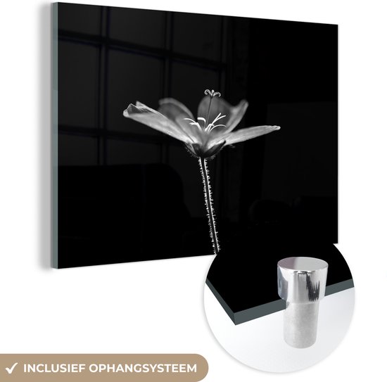 MuchoWow® Glasschilderij 30x20 cm - Schilderij acrylglas - Een geranium op een zwarte achtergrond - zwart wit - Foto op glas - Schilderijen