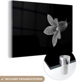 MuchoWow® Peinture sur verre 150x100 cm - Peinture sur verre acrylique - Gros plan d'un lys sur fond noir - noir et blanc - Photo sur verre - Peintures
