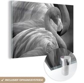MuchoWow® Glasschilderij 120x80 cm - Schilderij acrylglas - Flamingo van dichtbij - zwart wit - Foto op glas - Schilderijen