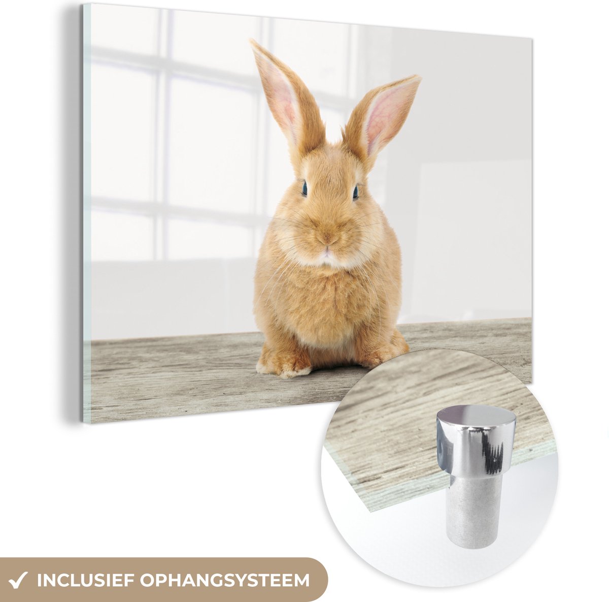 MuchoWow® Glasschilderij 60x40 cm - Schilderij acrylglas - Konijn - Baby konijn - Dieren - Kind - Meisjes - Jongens - Foto op glas - Schilderijen