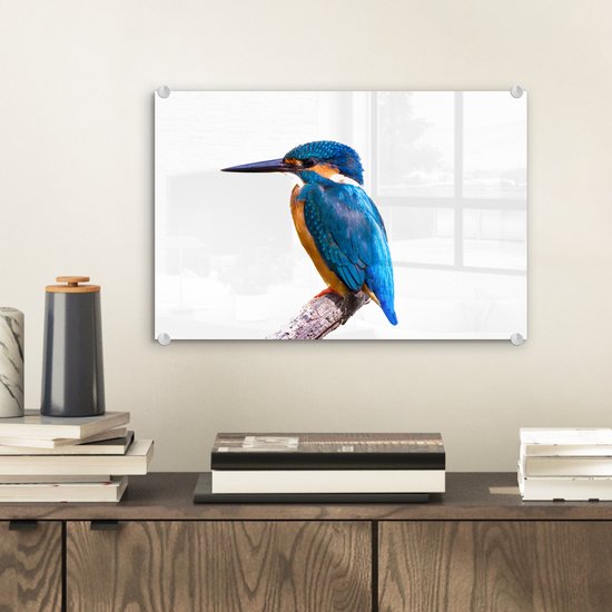 MuchoWow® Peinture sur verre - Martin-pêcheur - Ressorts - Branche - Blauw - 30x20 cm - Peintures sur verre acrylique - Photo sur Glas