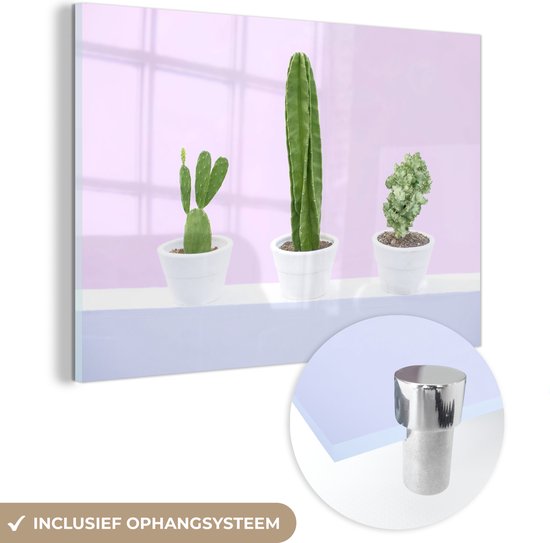 MuchoWow® Glasschilderij 60x40 cm - Schilderij acrylglas - Drie cactussen op een roze achtergrond - Foto op glas - Schilderijen
