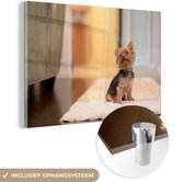 MuchoWow® Glasschilderij 120x80 cm - Schilderij acrylglas - Een kleine Yorkshire Terrier zit op een kleedje - Foto op glas - Schilderijen