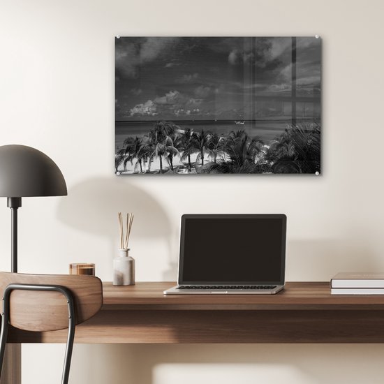 MuchoWow® Peinture sur verre - Aruba - Palmier - Zwart - Wit - 60x40 cm - Peintures sur verre acrylique - Photo sur Glas