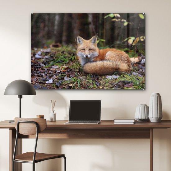 MuchoWow® Glasschilderij 90x60 cm - Schilderij acrylglas - Vos - Bos - Dier - Foto op glas - Schilderijen
