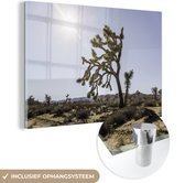 MuchoWow® Glasschilderij 90x60 cm - Schilderij acrylglas - Woestijn met bomen - Foto op glas - Schilderijen