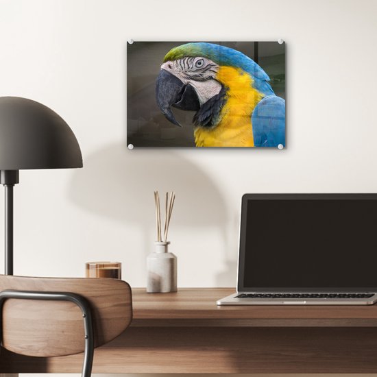 Tirage photo ara bleu et jaune sur Verre 30x20 cm - petit - Tirage photo sur verre (décoration murale en plexiglas)