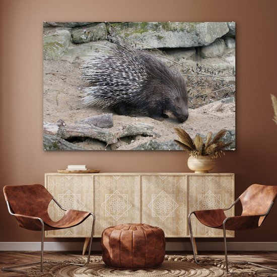 MuchoWow® Peinture sur Verre - Porc-épic à queue blanche - 150x100 cm - Peintures sur Verre Peintures - Photo sur Glas