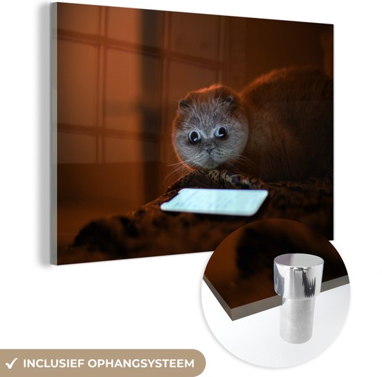 MuchoWow® Glasschilderij 30x20 cm - Schilderij acrylglas - Komische kat die naar een telefoon kijkt - Foto op glas - Schilderijen