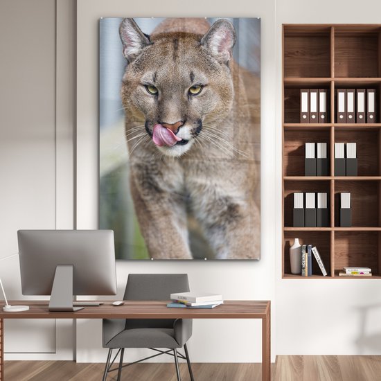 MuchoWow® Peinture sur verre 100x150 cm - Peinture sur verre acrylique - Puma qui marche - Photo sur verre - Peintures