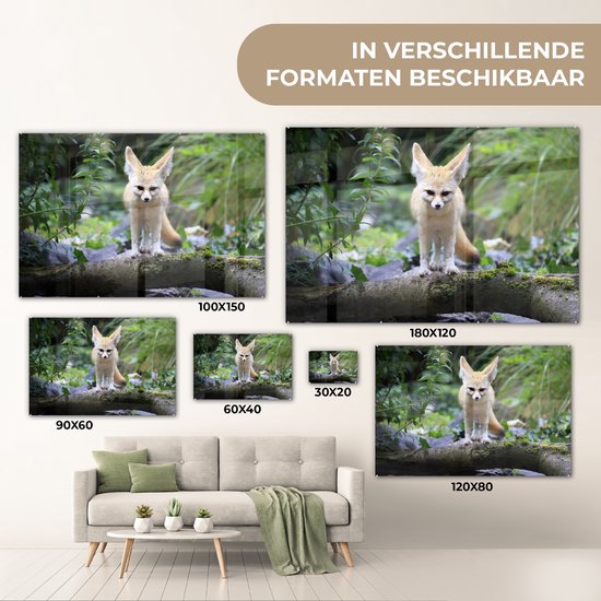 MuchoWow® Peinture sur verre 150x100 cm - Peinture sur verre acrylique - Renard - Branche - Nature - Photo sur verre - Peintures