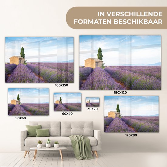 Peinture sur verre - Champ de lavande avec une maison en Provence - 150x100 cm - Peintures sur Verre Peintures - Photo sur Glas