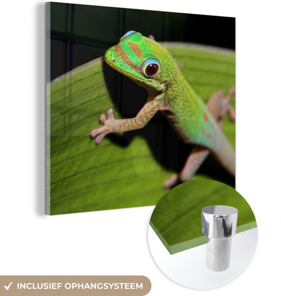 MuchoWow® Glasschilderij 20x20 cm - Schilderij acrylglas - Baby gekko kijkt in de camera - Foto op glas - Schilderijen