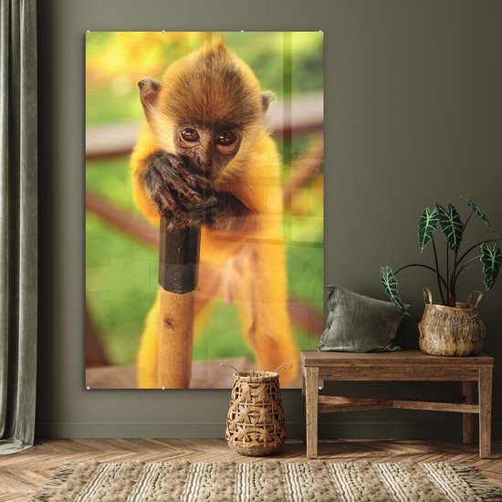 MuchoWow® Peinture sur verre 120x180 cm - Peinture sur verre acrylique - Portrait coloré d'un bébé singe - Garçons - Filles - Enfants - Enfant - Photo sur verre - Peintures