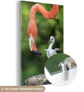 MuchoWow® Glasschilderij 80x120 cm - Schilderij acrylglas - Flamingo met een kuiken - Foto op glas - Schilderijen