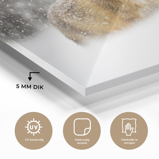 MuchoWow® Peinture sur verre 150x100 cm - Peinture sur verre acrylique - Renard - Neige - Storm - Photo sur verre - Peintures
