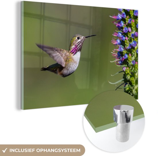 MuchoWow® Glasschilderij 150x100 cm - Schilderij acrylglas - Kolibrie - Plant - Vogel - Foto op glas - Schilderijen