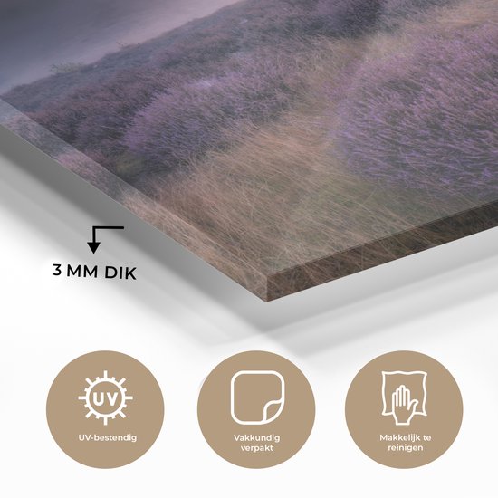 MuchoWow® Peinture sur verre - Fleurs - Lavande - Ciel - 60x40 cm - Peintures sur verre acrylique - Photo sur Glas