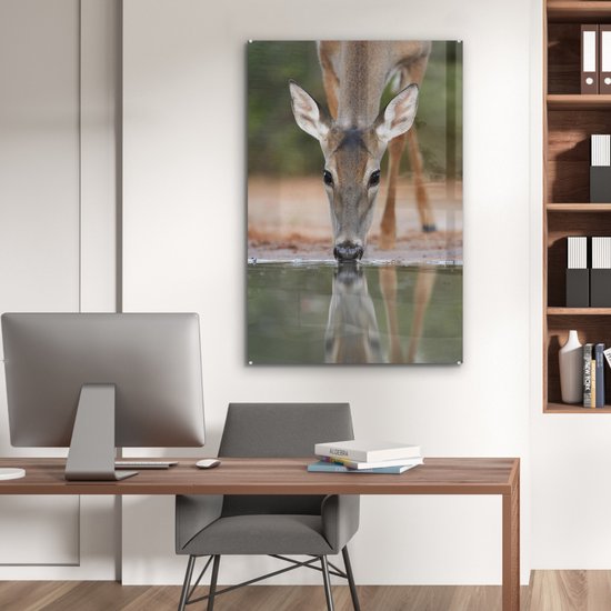 MuchoWow® Peinture sur verre 80x120 cm - Peinture sur verre acrylique - Cerf - Boisson - Water - Réflexion - Photo sur verre - Peintures