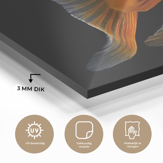 MuchoWow® Peinture sur verre 40x30 cm - Peinture sur verre acrylique - Poisson rouge - Animaux - Zwart - Photo sur verre - Peintures