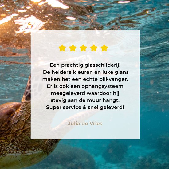 MuchoWow® Peinture sur verre 60x40 cm - Peinture sur verre acrylique - Mer - Tortue - Couleurs - Photo sur verre - Peintures