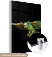 MuchoWow® Glasschilderij 90x120 cm - Schilderij acrylglas - Papegaai - Vogel - Veren - Foto op glas - Schilderijen