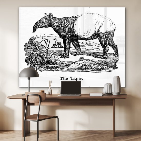 MuchoWow® Peinture sur verre 160x120 cm - Peinture sur verre acrylique - Illustration d'un tapir dans un champ en noir et blanc - Photo sur verre - Peintures