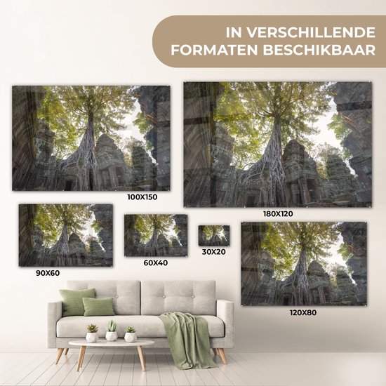 Arbres du temple Ta Prohm à Angkor Wat Plexiglass 90x60 cm - Tirage photo sur Glas (décoration murale plexiglas)