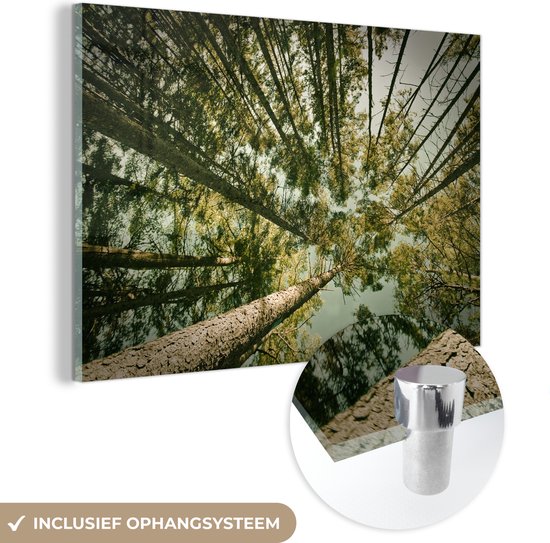 MuchoWow® Glasschilderij 120x80 cm - Schilderij acrylglas - Foto vanaf de grond van sparren - Foto op glas - Schilderijen