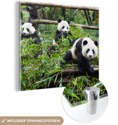 MuchoWow® Glasschilderij 90x90 cm - Schilderij acrylglas - Panda's - Bamboe - Bladeren - Foto op glas - Schilderijen