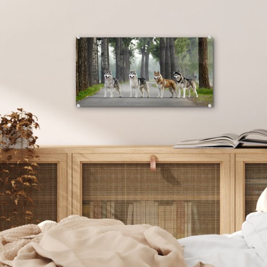 MuchoWow® Peinture sur verre 40x20 cm - Peinture sur verre acrylique - Quatre huskies parmi les arbres - Photo sur verre - Peintures